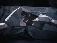 5454.mp4
