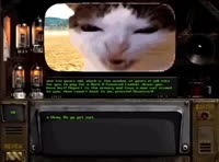 17284387594853.mp4