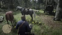 1748527622050870.webm