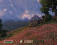Oblivion 2025-04-21 17-49-07-80.png