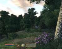 Oblivion 2025-04-23 04-10-50-98.png