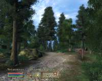 Oblivion 2025-04-21 17-29-52-93.png