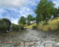 Oblivion 2025-04-23 03-40-24-39.png