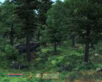 Oblivion 2025-04-21 19-28-24-43.png