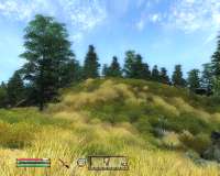 Oblivion 2025-04-21 23-21-29-49.png
