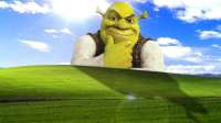 17455035014024535242527998567984.jpg