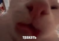 трахать.mp4