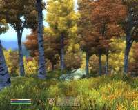 Oblivion 2025-04-28 01-50-05-73.png