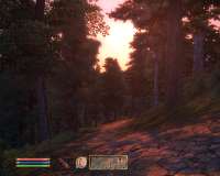 Oblivion 2025-04-30 00-43-27-29.png