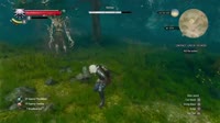 15731510552972.webm