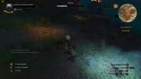 15721827277391.webm