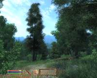 Oblivion 2025-04-30 00-39-54-13.png