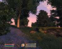 Oblivion 2025-04-30 00-42-34-35.png