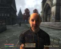 Oblivion 2025-04-29 01-41-30-98.png