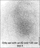 17452137215530.jpg