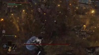 дерево.mp4