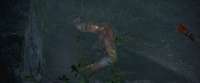 Nioh 2 The Complete Edition Screenshot 2025.05.15 - 16.08.37.52.png