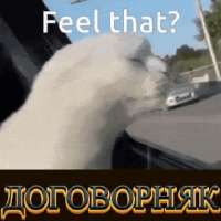 .gif