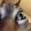 image0.gif