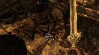 The Elder Scrolls V  Skyrim Special Edition Screenshot 2025.05.20 - 00.53.52.70.png