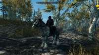 The Elder Scrolls V  Skyrim Special Edition Screenshot 2025.05.20 - 22.11.25.36.png