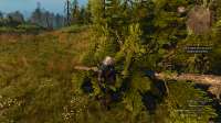 witcher3 2025-05-21 07-33-27-509.png
