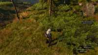 witcher3 2025-05-21 07-33-37-314.png
