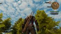 witcher3 2025-05-21 07-33-51-703.png
