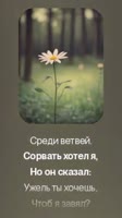 Гулял я в лесу, (online-video-cutter.com) (1).mp4