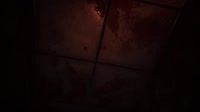 2025-05-21 00-23-36.mp4