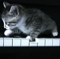 Rolling-On-Keys.mp4