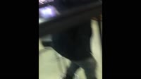 кокстар дизайнер анимации.mp4