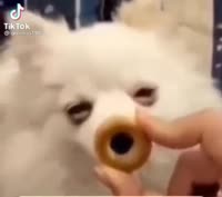 IMG7867.MP4
