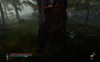 bear.mp4