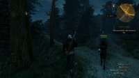 witcher3 2025-05-25 11-26-00-846.png