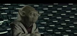 17482418845322.webm