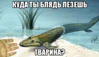 17480796753660.jpg