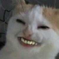 17476778593520.jpg
