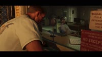 голуби чайки.mp4