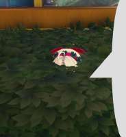 17429320865680.png