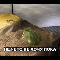 загруженное.mp4