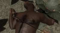 Far Cry 2 Screenshot 2025.05.29 - 17.41.01.43.png