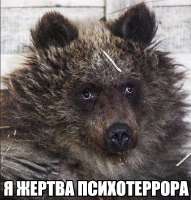 1748548210036.png