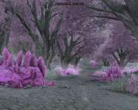 jpeg-image-1024-fc397-819-pixels.webp