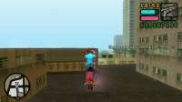 vcs110.jpg