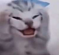 изображение.png