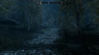 The Elder Scrolls V  Skyrim Special Edition 2025.06.01 - 11.45.38.02.mp4