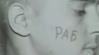 17486920592500.mp4