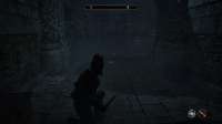 The Elder Scrolls IV  Oblivion Remastered Screenshot 2025.06.02 - 01.29.58.83.png