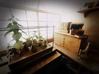 Sublustrum (music Anthesteria).mp4